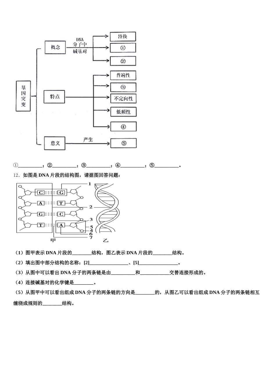 北京石油学院附属中学2025届生物高一下期末复习检测试题含解析_第3页