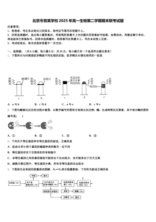 北京市育英学校2025年高一生物第二学期期末联考试题含解析
