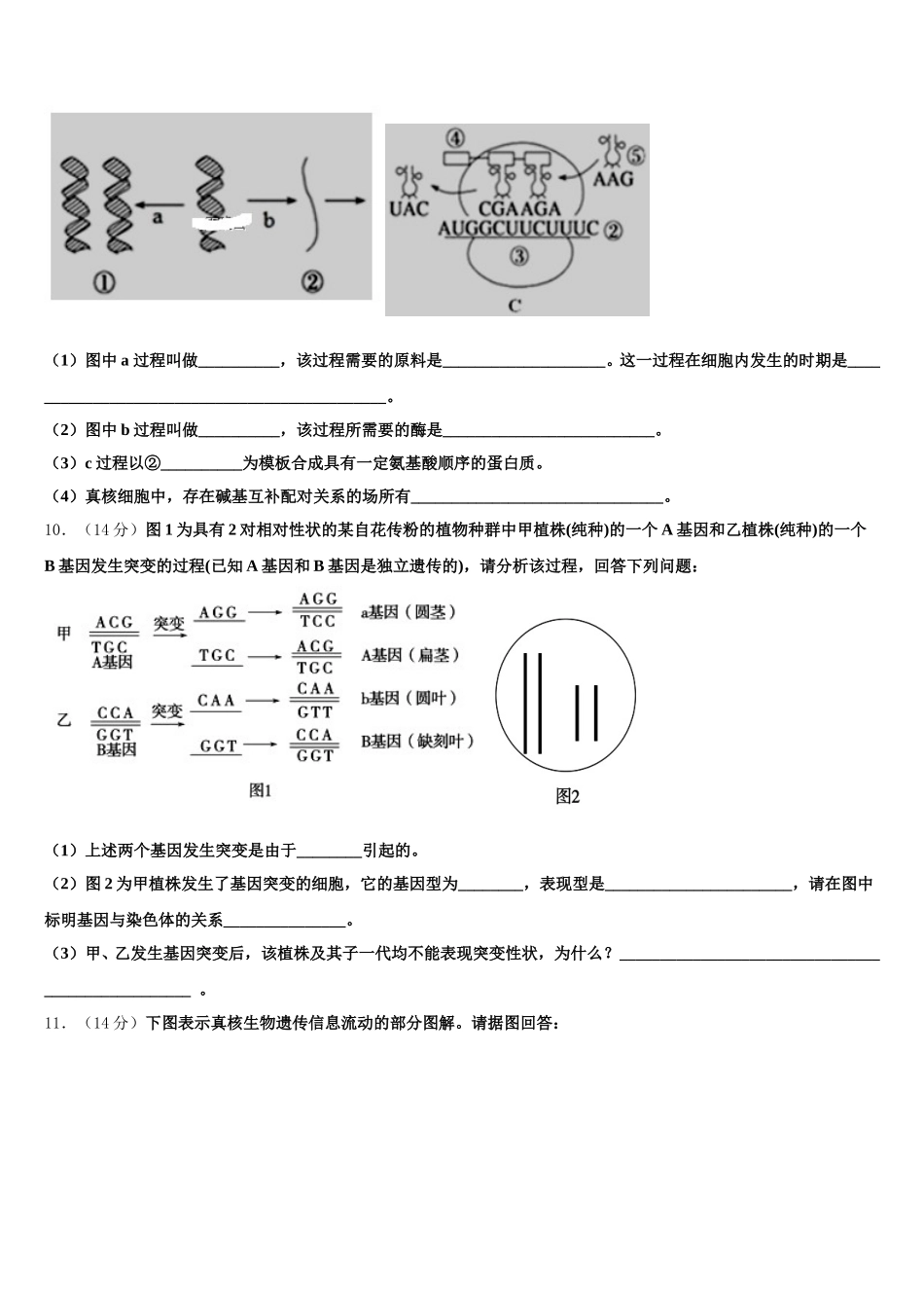 2024-2025学年北京海淀北方交大附中高一下生物期末联考模拟试题含解析_第3页