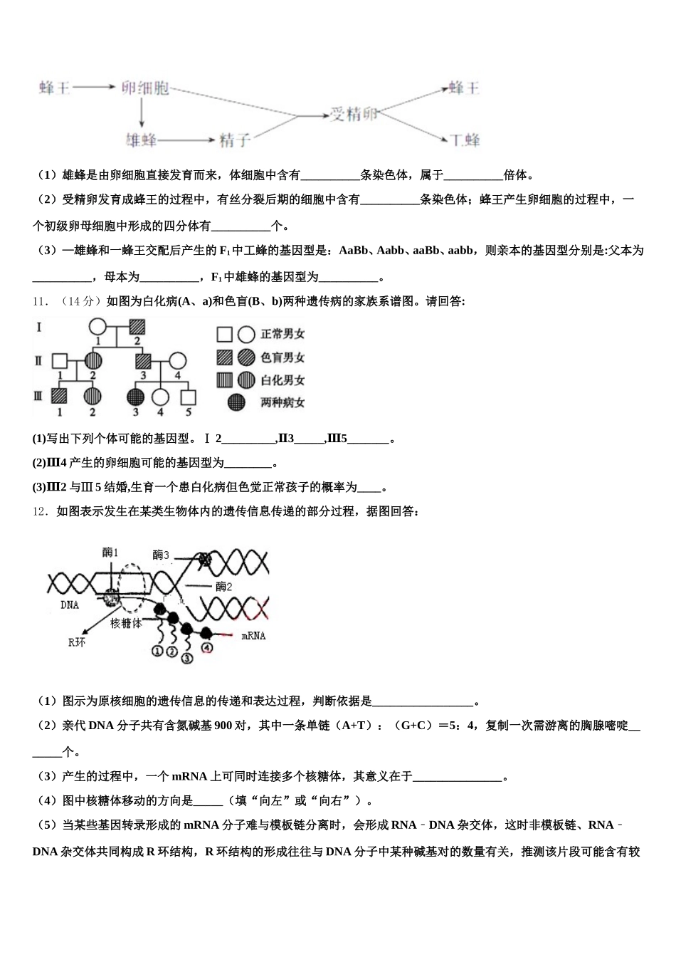 中央民族大学附属中学2025届生物高一下期末学业质量监测模拟试题含解析_第3页