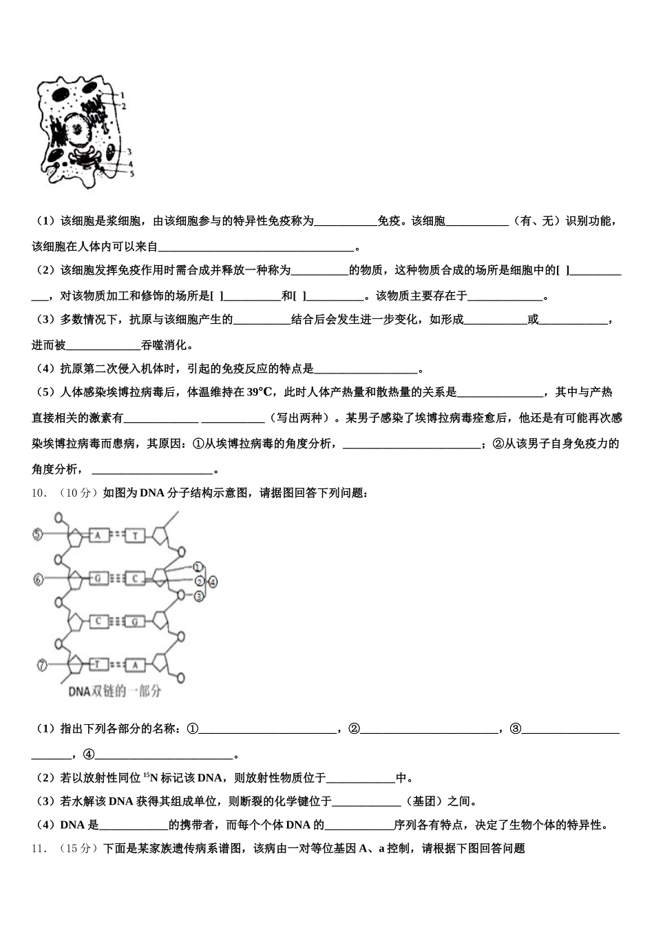 2025届北京市中国人民大学附属中学生物高一下期末检测试题含解析_第3页