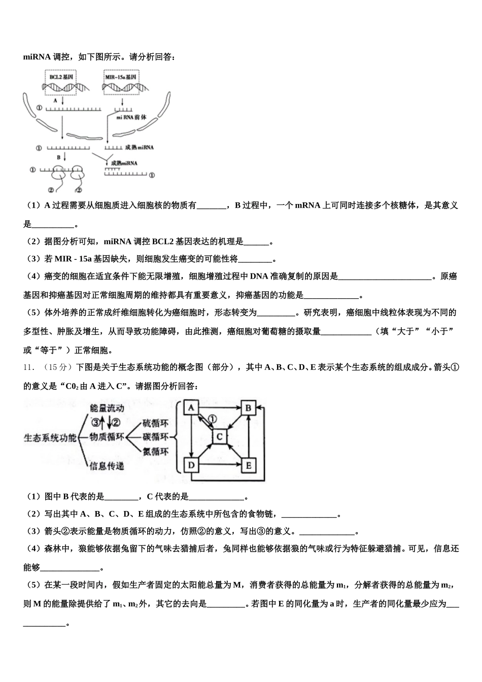 北京市北京师范大学附属实验中学2024-2025学年生物高一下期末监测模拟试题含解析_第3页