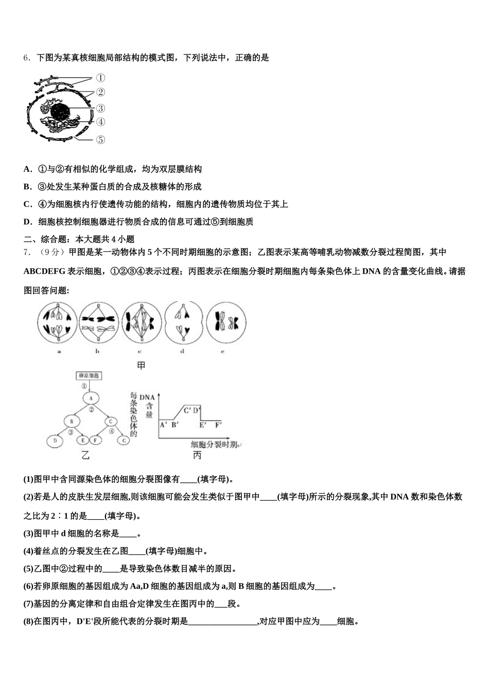 2024-2025学年北京市知春里中学生物高一下期末达标检测试题含解析_第2页