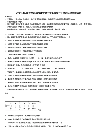 2024-2025学年北京市知春里中学生物高一下期末达标检测试题含解析