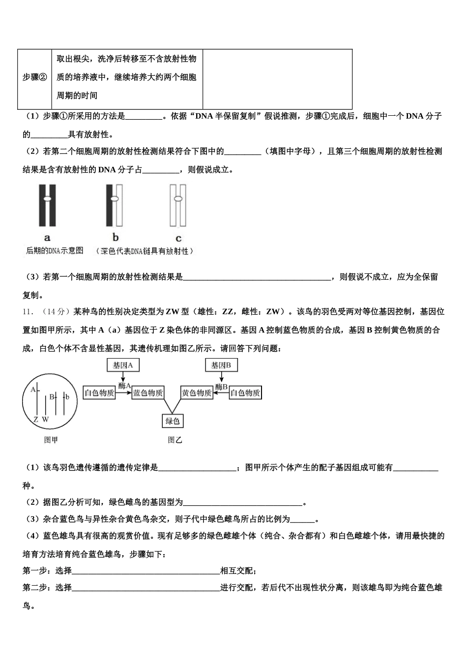 北京市顺义区杨镇一中2025年生物高一第二学期期末学业质量监测模拟试题含解析_第3页