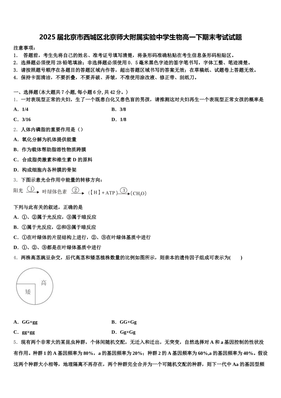 2025届北京市西城区北京师大附属实验中学生物高一下期末考试试题含解析_第1页