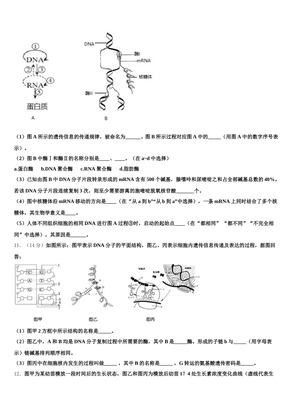 北京市东城区汇文中学2025年高一下生物期末达标测试试题含解析_第3页
