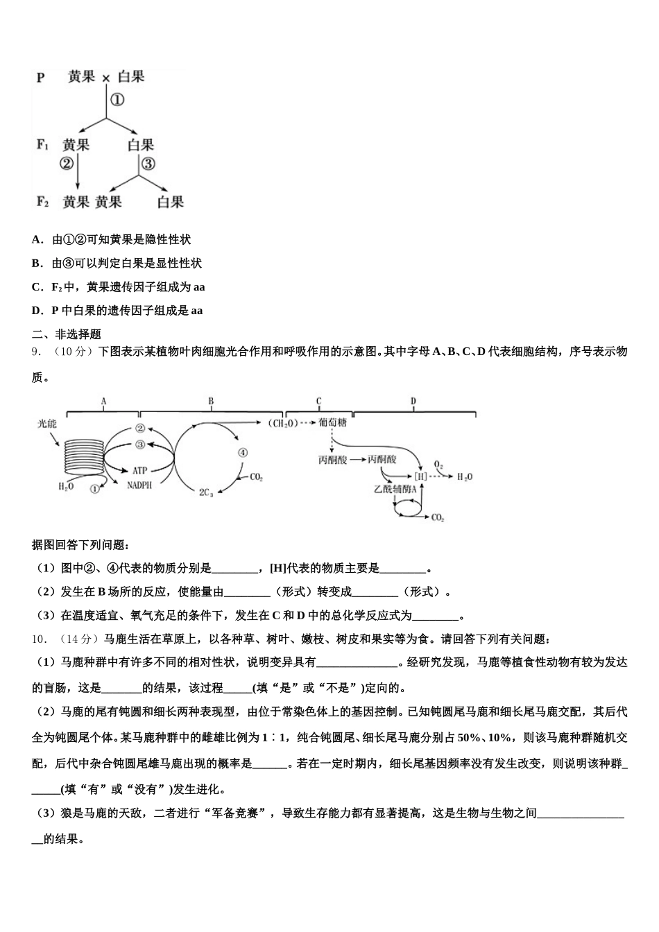 2024-2025学年北京市西城区北京师范大学第二附属中学高一下生物期末学业质量监测试题含解析_第3页