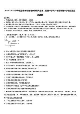 2024-2025学年北京市西城区北京师范大学第二附属中学高一下生物期末学业质量监测试题含解析