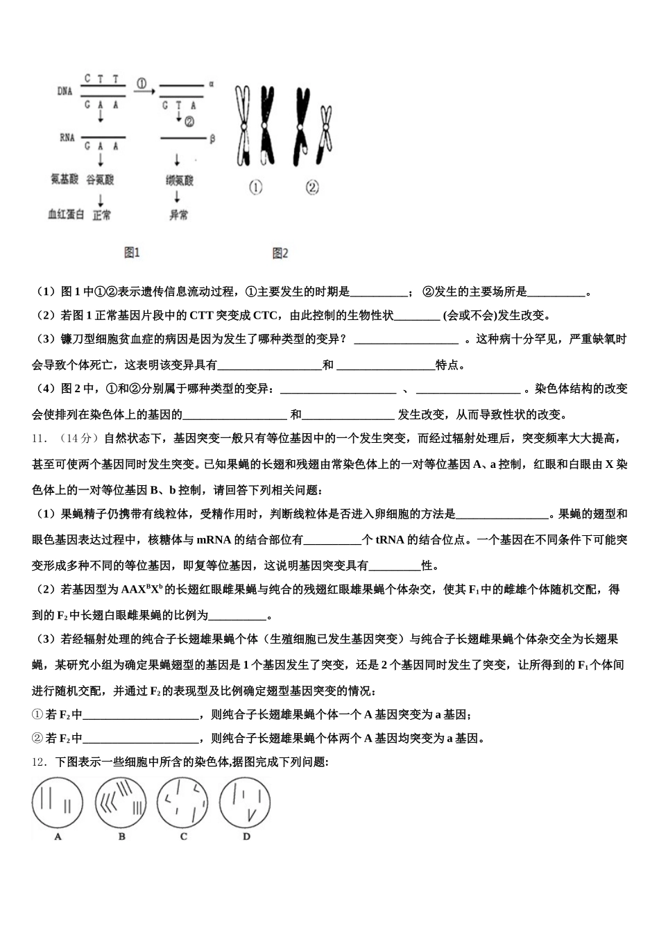 2025届北京市海淀区首都师范大学附属中学高一下生物期末质量跟踪监视模拟试题含解析_第3页