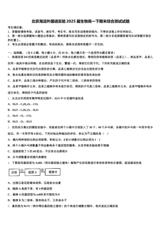 北京海淀外国语实验2025届生物高一下期末综合测试试题含解析