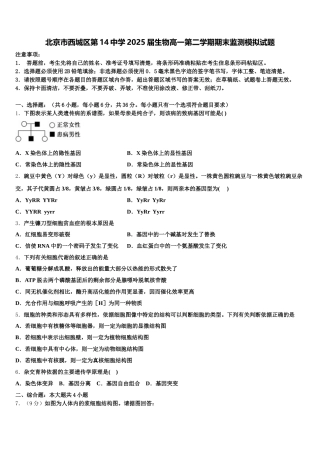 北京市西城区第14中学2025届生物高一第二学期期末监测模拟试题含解析