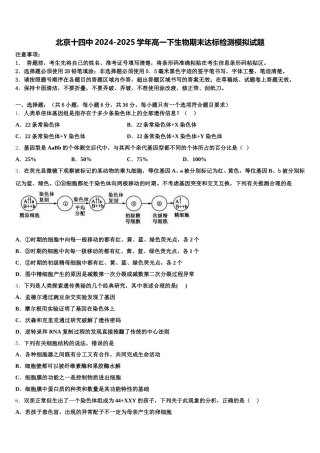 北京十四中2024-2025学年高一下生物期末达标检测模拟试题含解析
