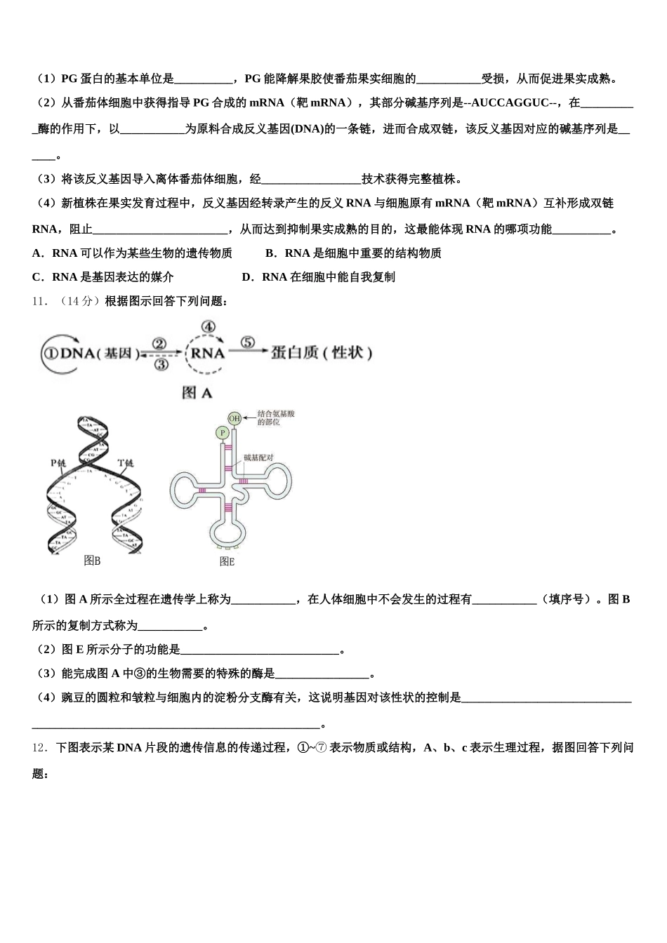 2024-2025学年北京市东城区第二中生物高一下期末复习检测模拟试题含解析_第3页