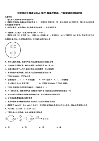 北京海淀外国语2024-2025学年生物高一下期末调研模拟试题含解析
