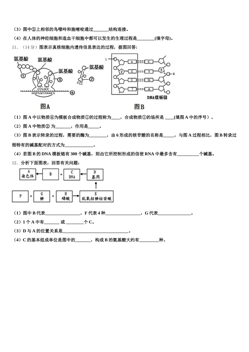 北京顺义牛栏山一中2025届生物高一下期末复习检测模拟试题含解析_第3页