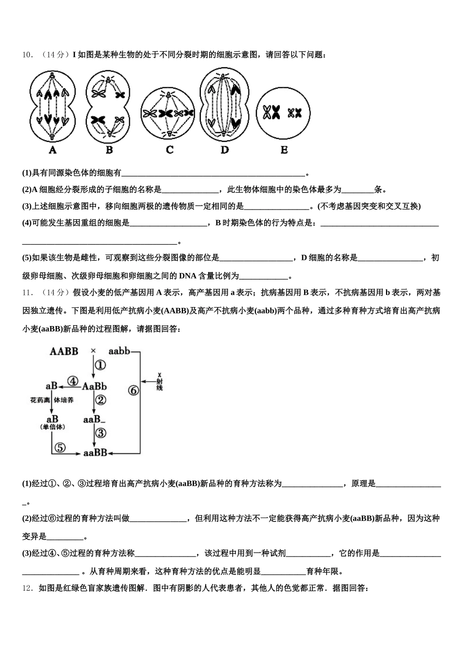 2025年北京丰台区北京第十二中学生物高一下期末学业水平测试模拟试题含解析_第3页