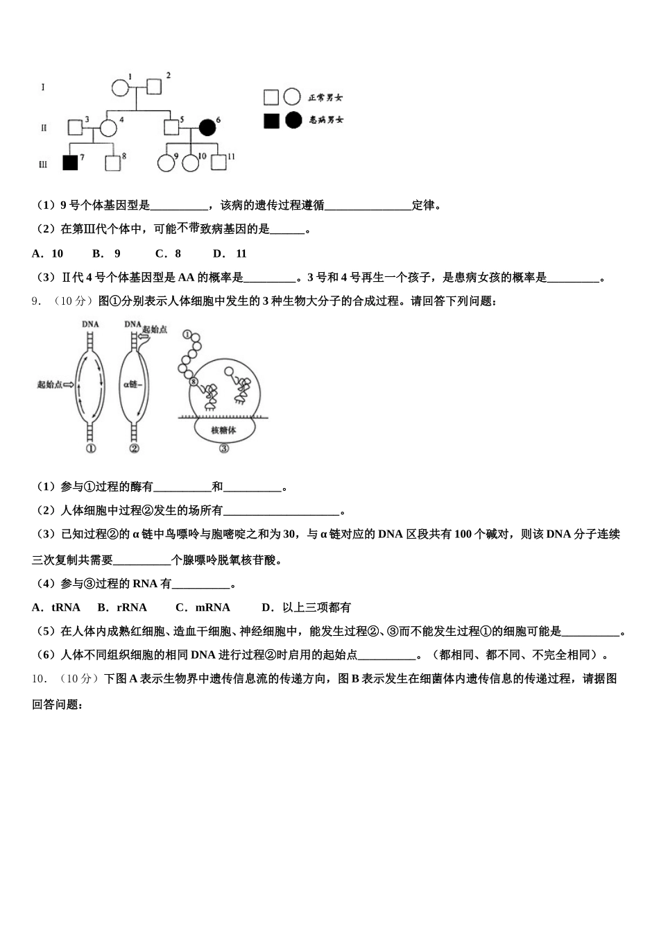 2024-2025学年北京市北师大附中高一下生物期末达标检测模拟试题含解析_第3页