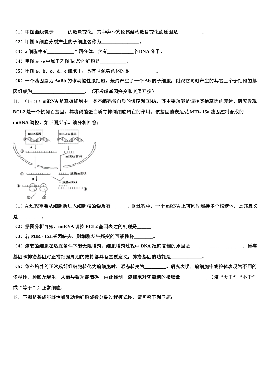 北京市顺义一中2025年生物高一第二学期期末学业水平测试模拟试题含解析_第3页