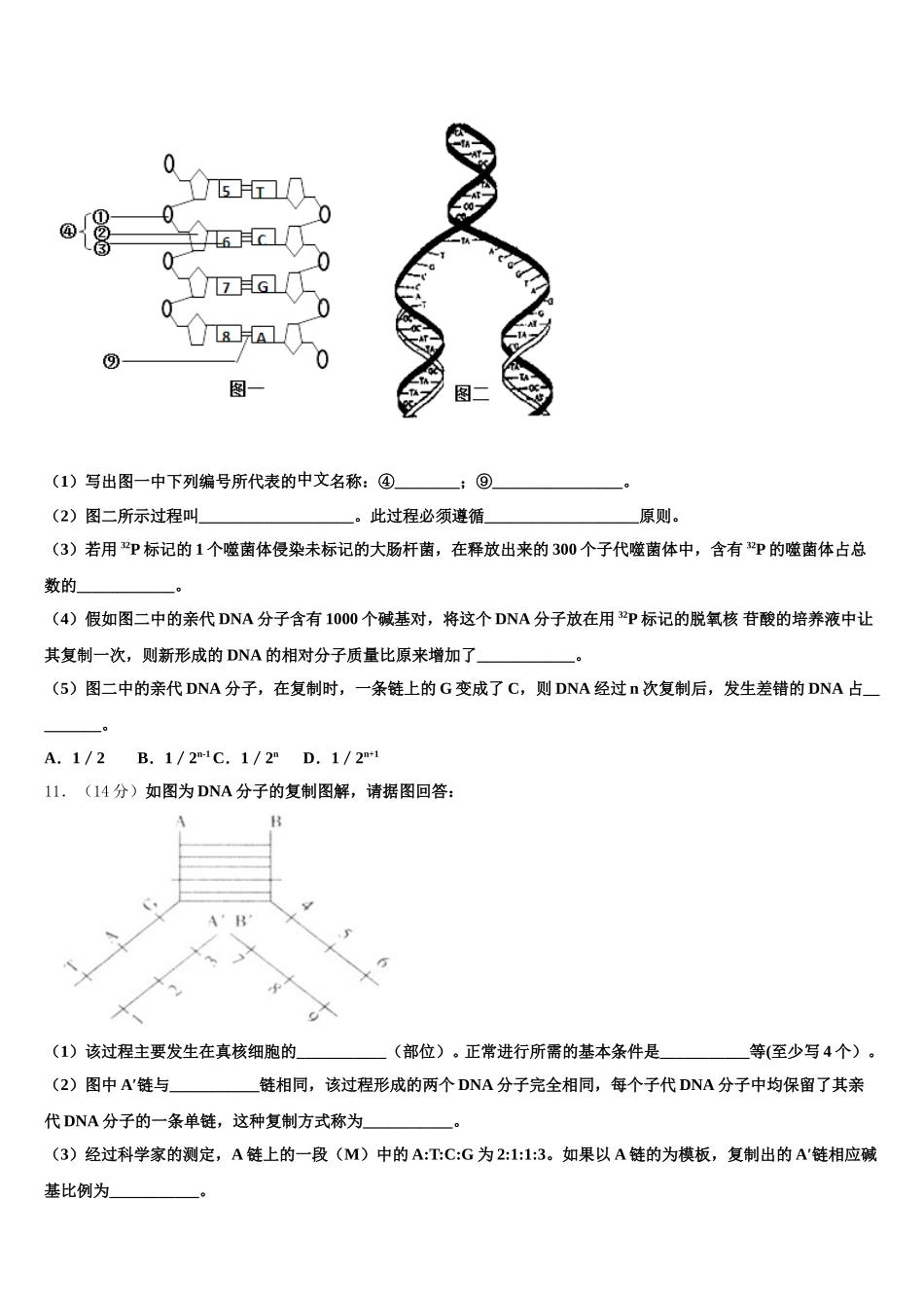 2025年北京市密云区高一下生物期末统考试题含解析_第3页