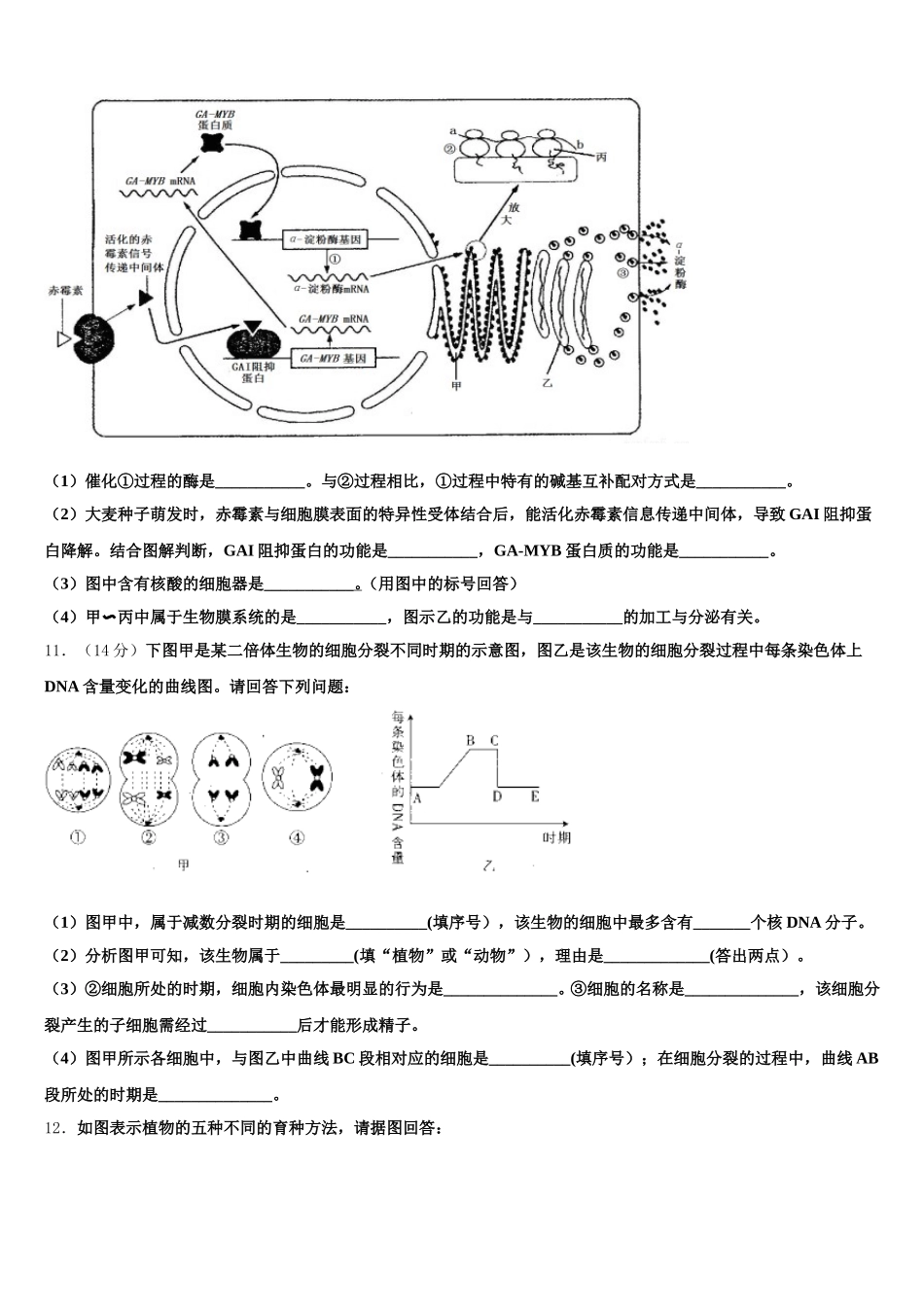 北京市朝阳区北京八十中学2025年生物高一下期末调研模拟试题含解析_第3页