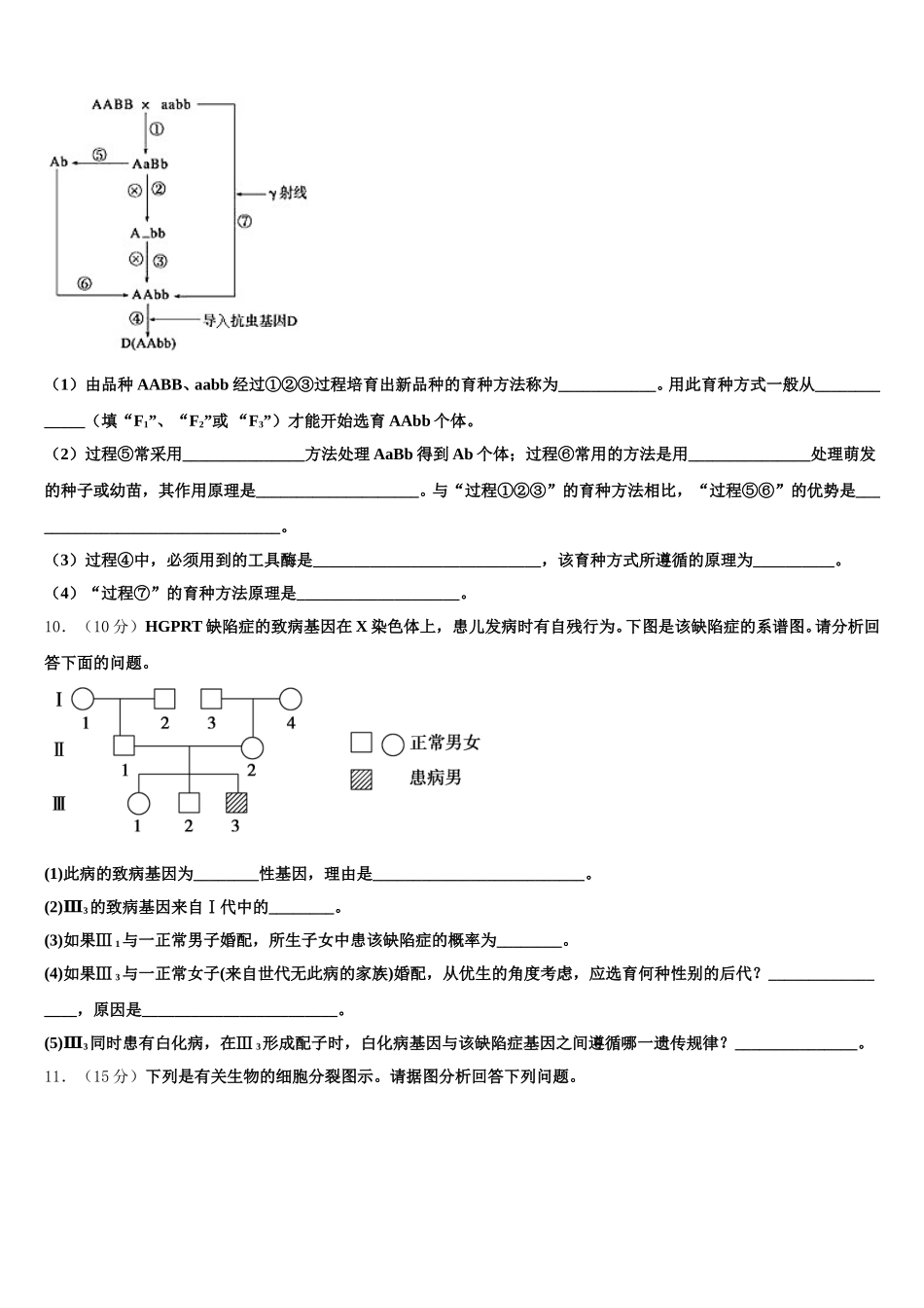 北京市对外经贸大学附属中学2024-2025学年高一下生物期末质量跟踪监视模拟试题含解析_第3页