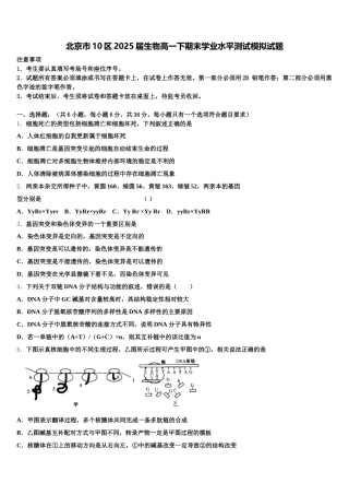北京市10区2025届生物高一下期末学业水平测试模拟试题含解析