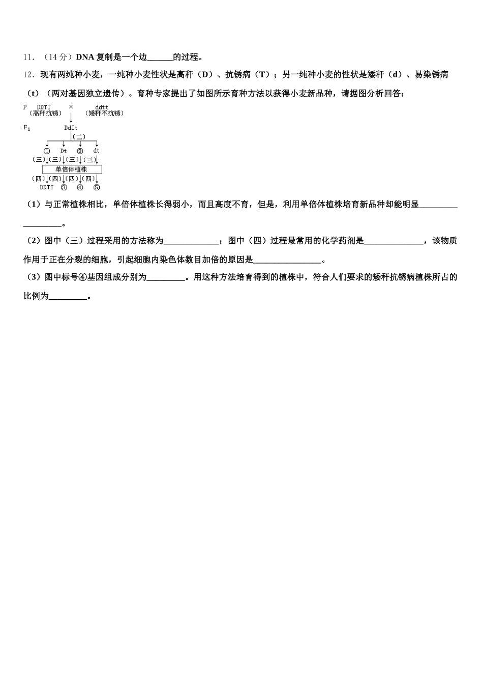 北京市八一学校2025年生物高一下期末监测模拟试题含解析_第3页