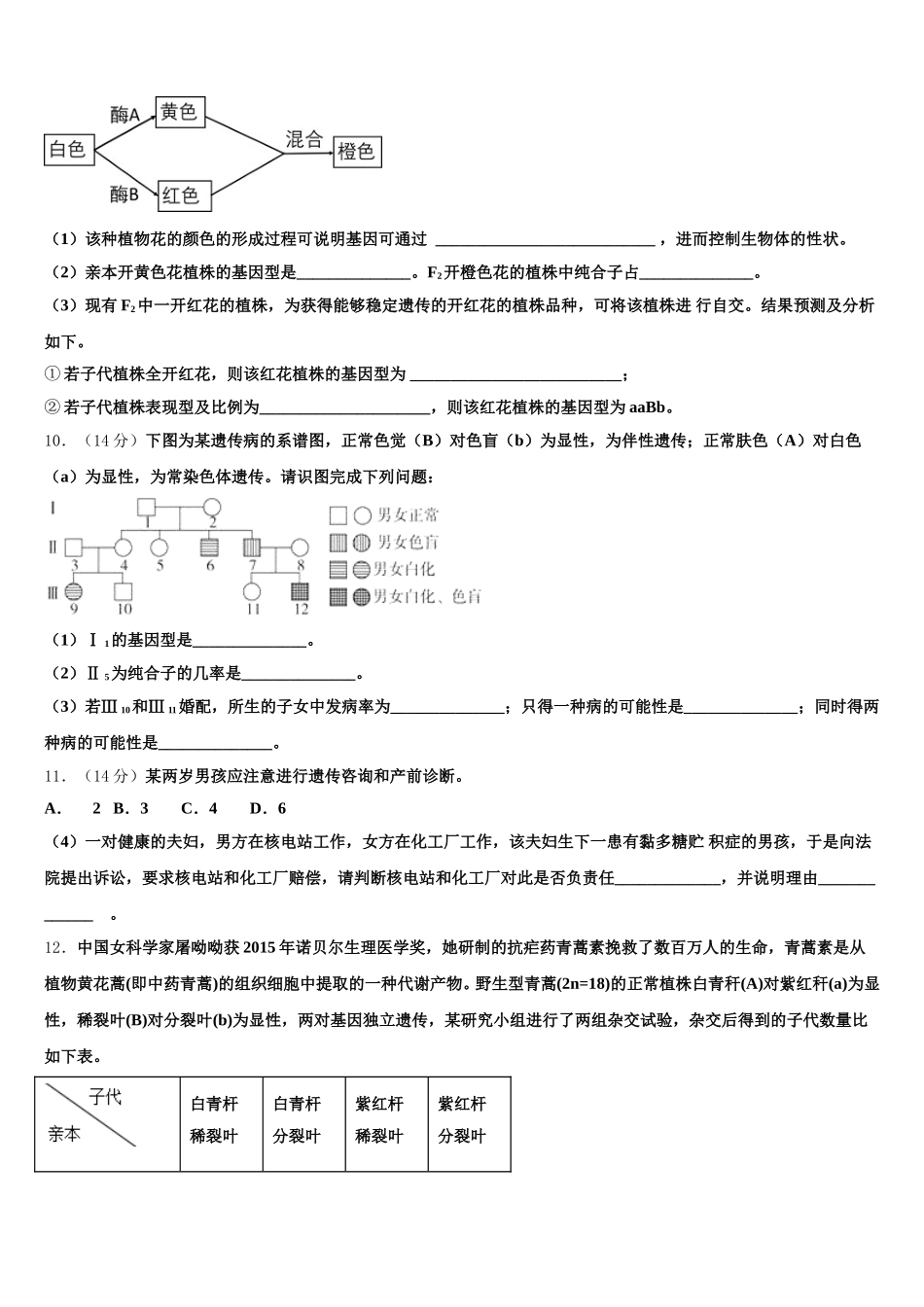 北京市对外经济贸易大学附属中学2025届高一下生物期末学业水平测试模拟试题含解析_第3页
