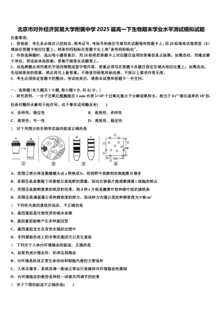 北京市对外经济贸易大学附属中学2025届高一下生物期末学业水平测试模拟试题含解析