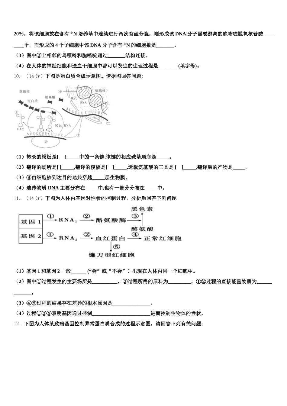 北京市西城区第十五中学2025届高一下生物期末学业质量监测模拟试题含解析_第3页