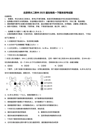 北京师大二附中2025届生物高一下期末统考试题含解析