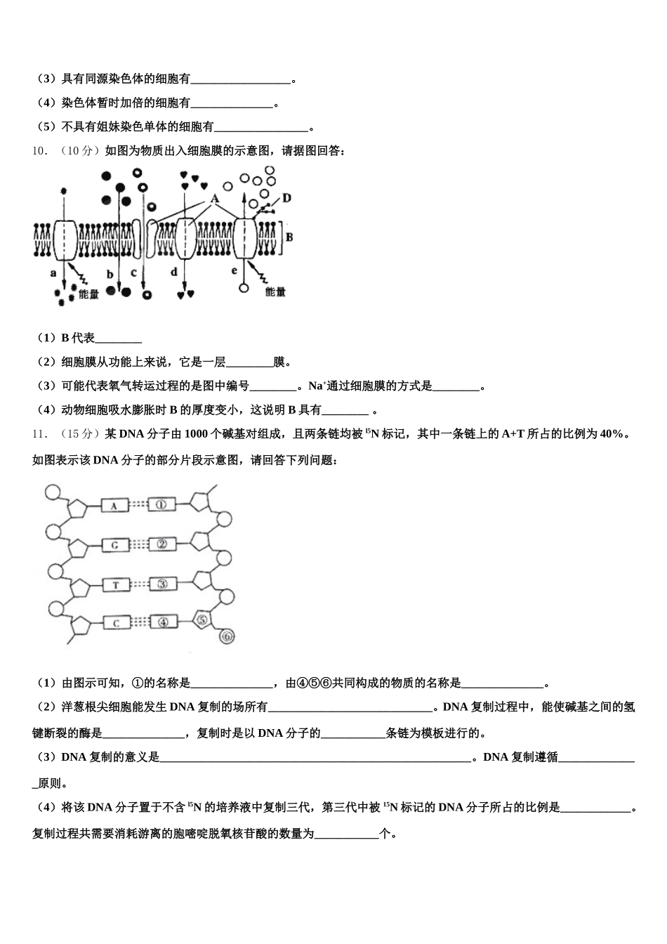 2024-2025学年北京朝阳陈经纶中学生物高一第二学期期末综合测试模拟试题含解析_第3页