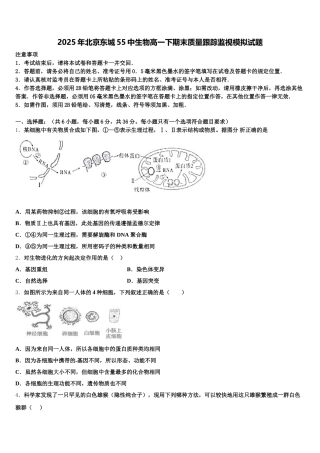 2025年北京东城55中生物高一下期末质量跟踪监视模拟试题含解析