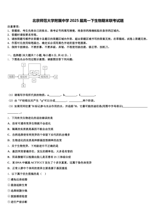 北京师范大学附属中学2025届高一下生物期末联考试题含解析
