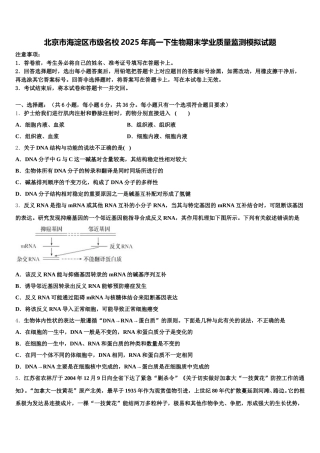 北京市海淀区市级名校2025年高一下生物期末学业质量监测模拟试题含解析