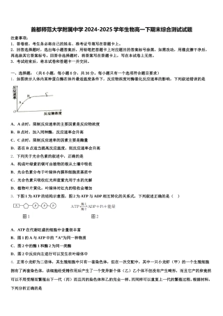 首都师范大学附属中学2024-2025学年生物高一下期末综合测试试题含解析