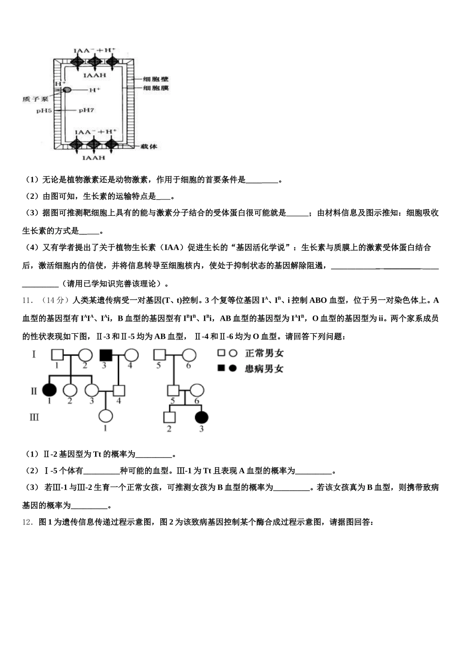 北京海淀人大附2025年生物高一下期末统考模拟试题含解析_第3页