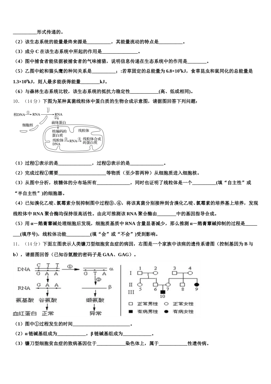 2025年汇文中学生物高一下期末联考模拟试题含解析_第3页