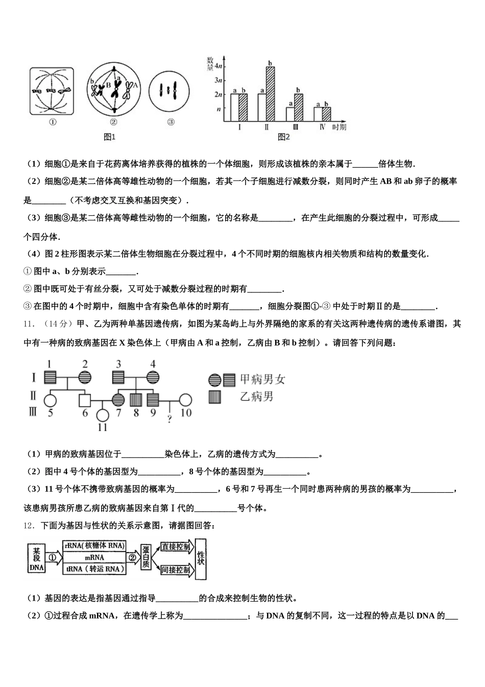2024-2025学年北京八中怡海分校高一下生物期末联考模拟试题含解析_第3页