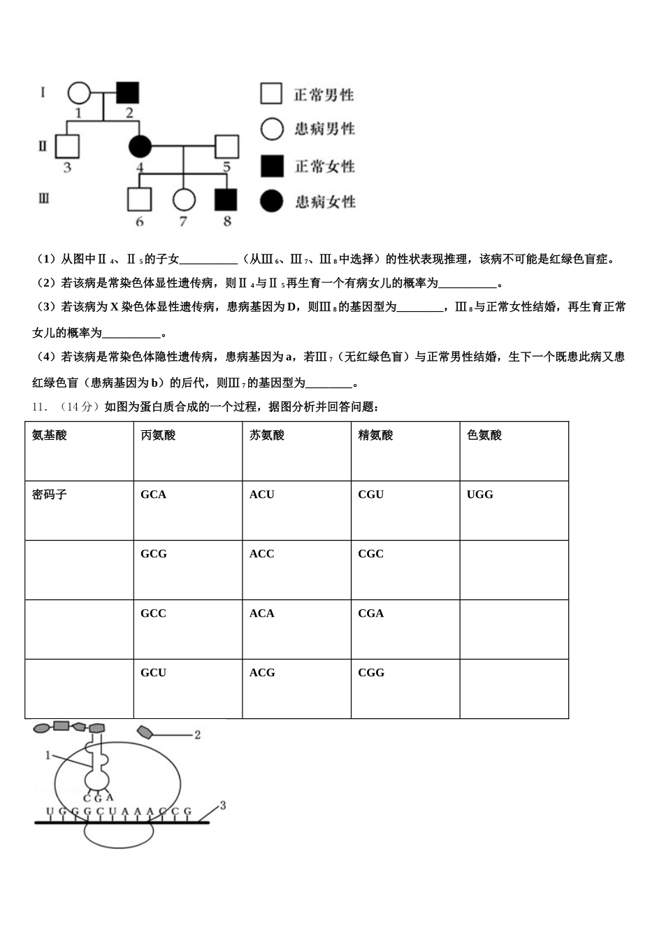 2025届北师大实验中学生物高一第二学期期末质量跟踪监视试题含解析_第3页