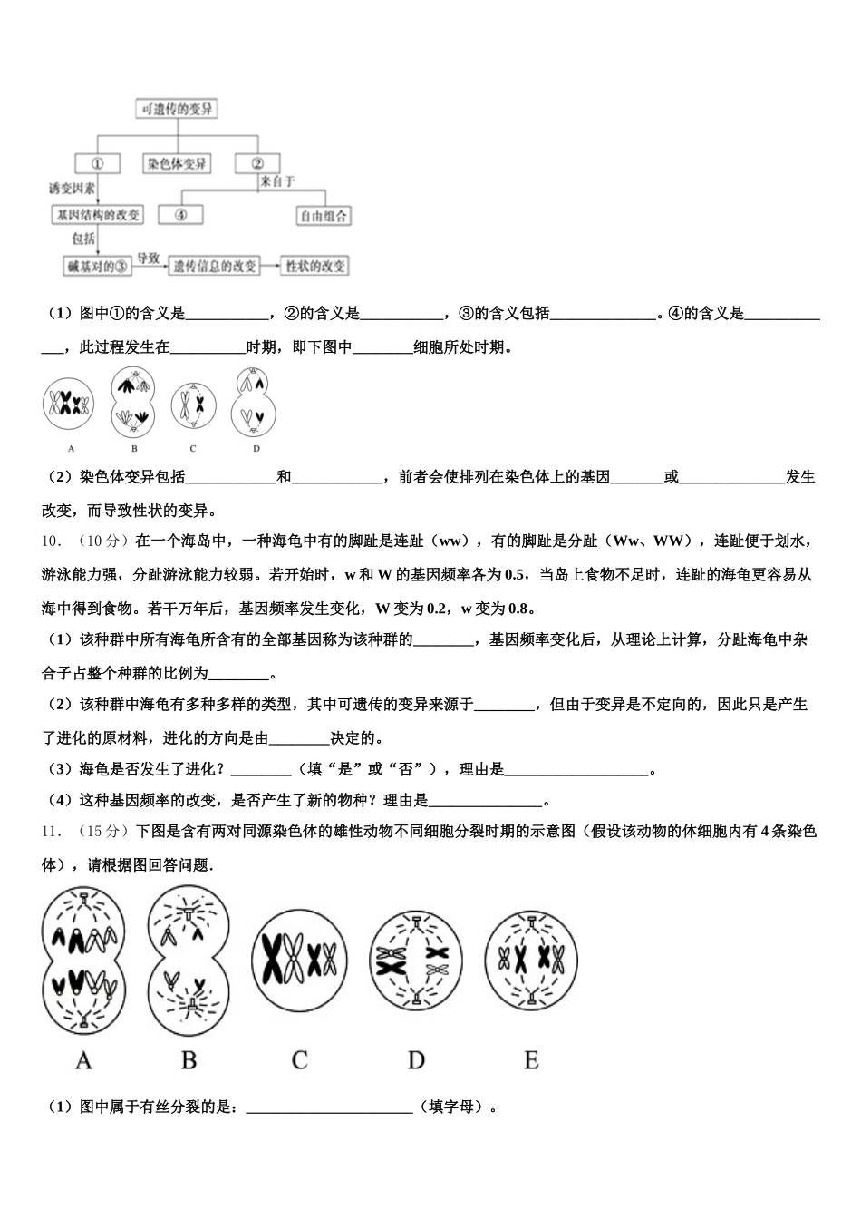 北京市大兴区2025届生物高一下期末质量跟踪监视模拟试题含解析_第3页