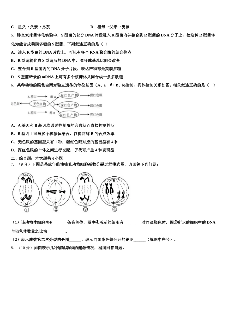 2025年北京市顺义区、通州区生物高一下期末学业水平测试试题含解析_第2页