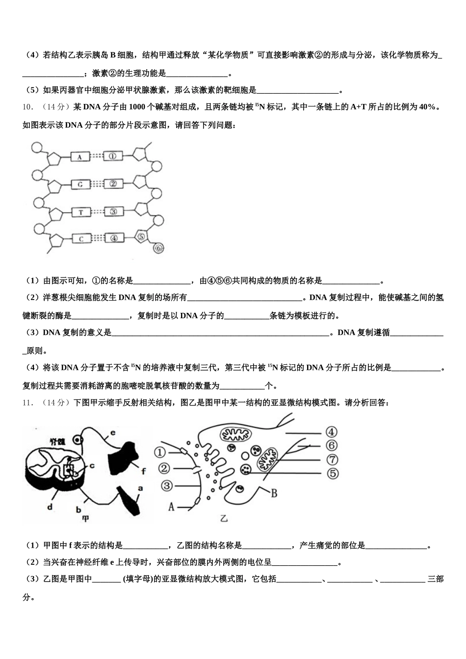 北京交通大学附属中学2025届高一下生物期末学业水平测试模拟试题含解析_第3页