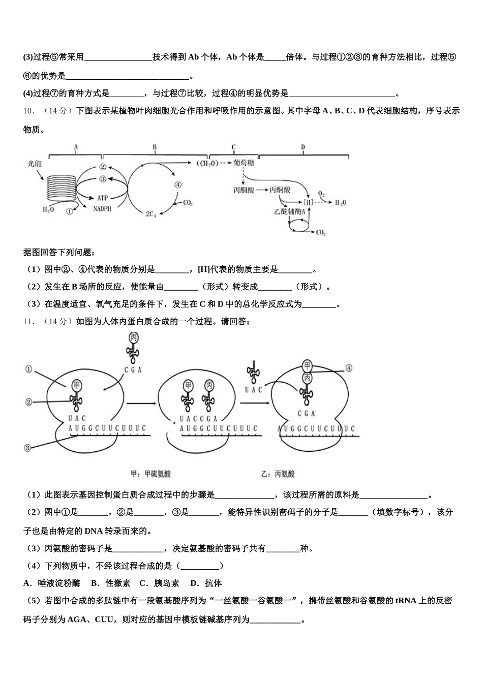 北京市昌平区实验中学2024-2025学年生物高一下期末学业水平测试试题含解析_第3页