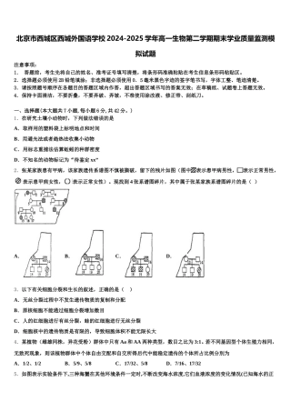 北京市西城区西城外国语学校2024-2025学年高一生物第二学期期末学业质量监测模拟试题含解析