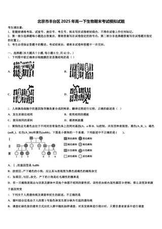 北京市丰台区2025年高一下生物期末考试模拟试题含解析