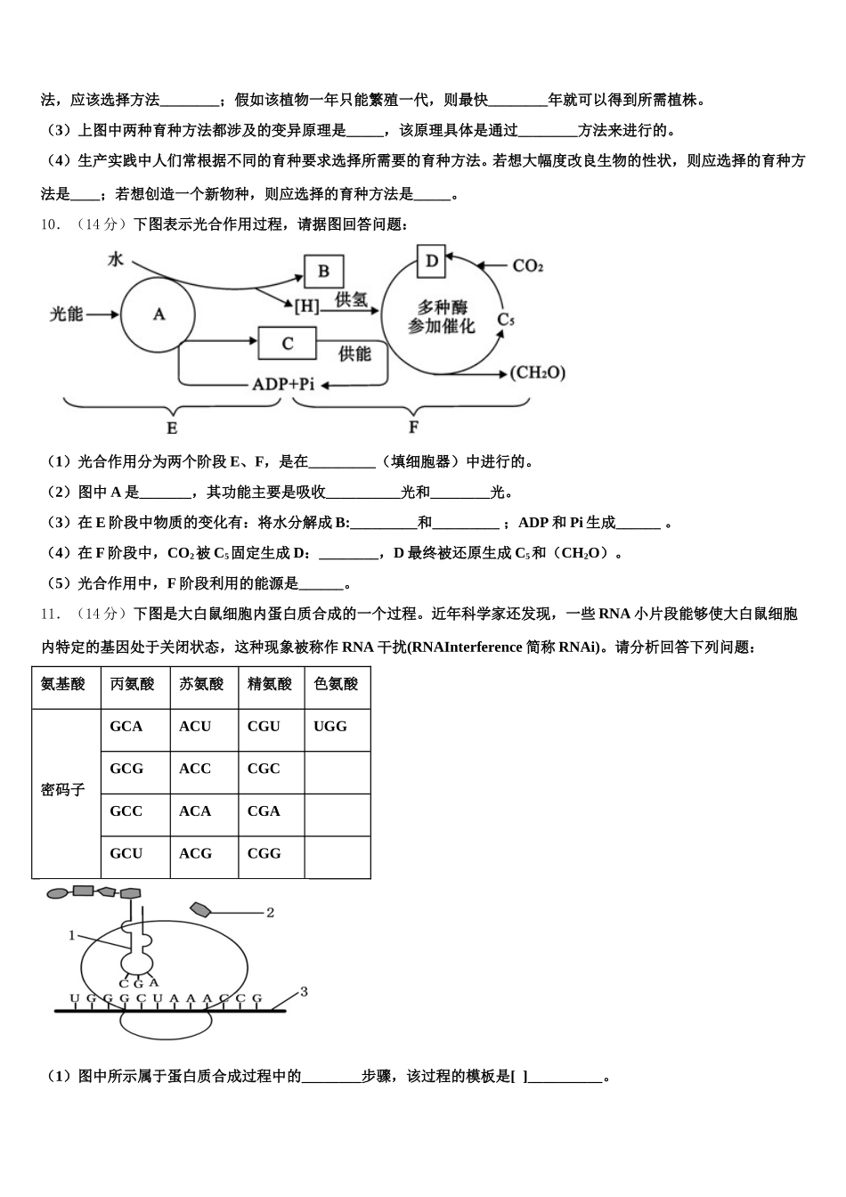 2024-2025学年北京市第二中学生物高一第二学期期末调研试题含解析_第3页