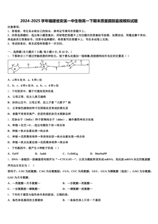 2024-2025学年福建省安溪一中生物高一下期末质量跟踪监视模拟试题含解析