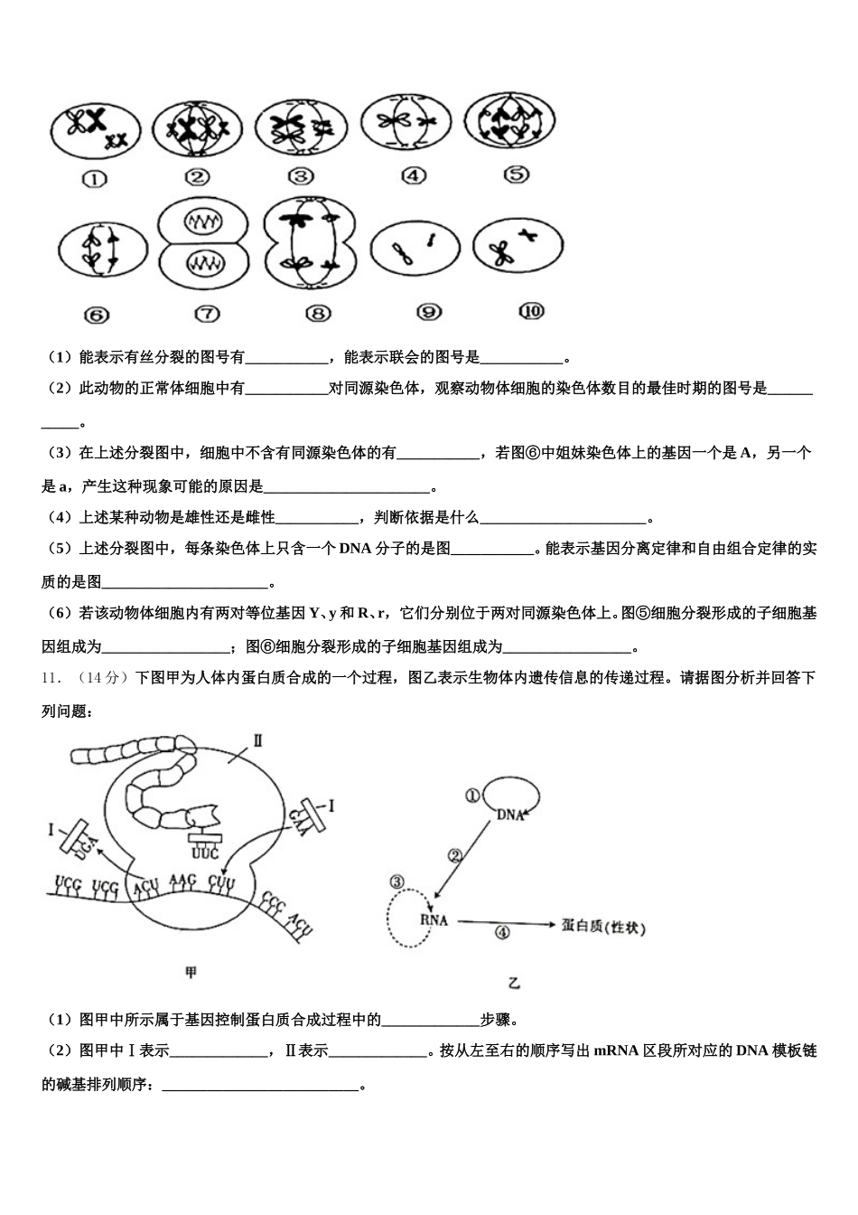 2024-2025学年福建省厦门第六中学高一生物第二学期期末统考试题含解析_第3页